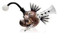 Duoglass Monkfish