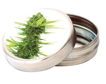 Kleine Metalldose Big Bud 4cm