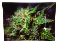 "Blue Dank - Dream" Glastablett klein