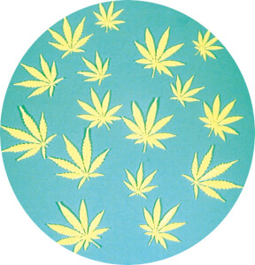 Glow In The Dark Leaves