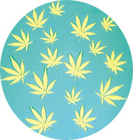 Glow In The Dark Leaves