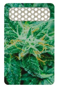 Grindercard "AK47"
