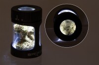 SMOKUS Focus Aufbewahrungsglas mit Licht weiß